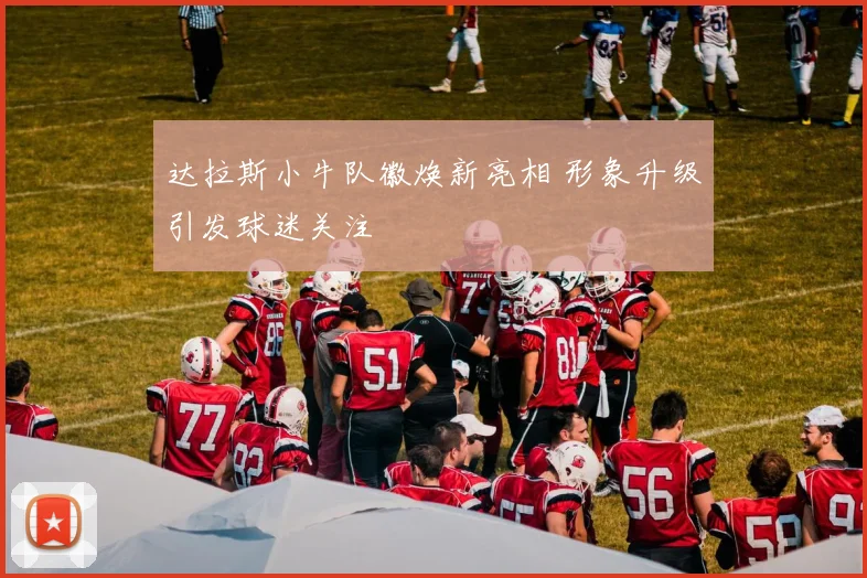 达拉斯小牛队徽焕新亮相 形象升级引发球迷关注